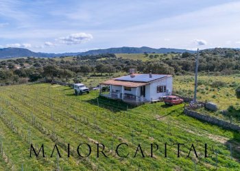 Terreno agricolo SS 199, Oschiri - foto 10