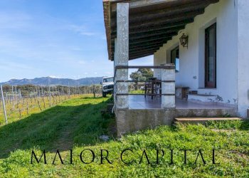 Terreno agricolo SS 199, Oschiri - foto 11