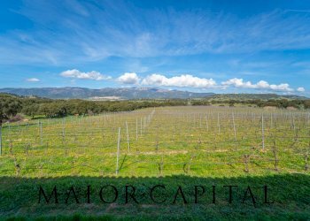 Terreno agricolo SS 199, Oschiri - foto 16