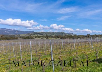 Terreno agricolo SS 199, Oschiri - foto 20