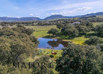 Terreno agricolo SS 199, Oschiri - foto 24