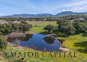 Terreno agricolo SS 199, Oschiri - foto 25