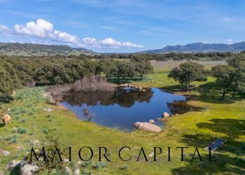 Terreno agricolo SS 199, Oschiri - foto 26