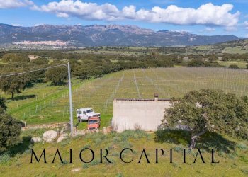 Terreno agricolo SS 199, Oschiri - foto 28