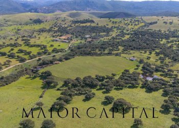 Terreno agricolo SS 199, Oschiri - foto 30