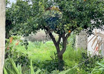 Independent house Via Milano, Erice - photo 10