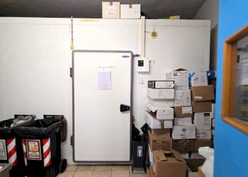 Box auto - Alimentari - Gastronomia Alassio - foto 9