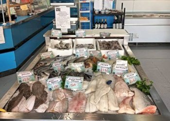 Interno non residenziale - Alimentari - Gastronomia Alassio - foto 11