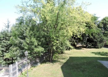 Appartamento Asti - foto 9