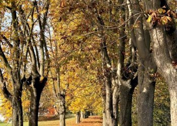 Appartamento Asti - foto 15