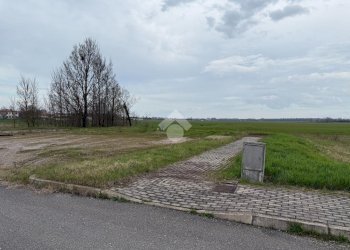 Terreno edificabile via donizetti, Budrio - foto 12