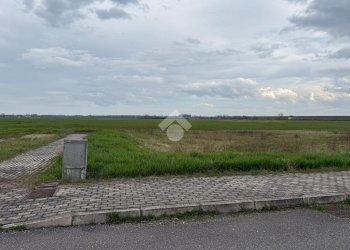 Terreno edificabile via donizetti, Budrio - foto 14