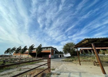 Rustico Montemagno - foto 13