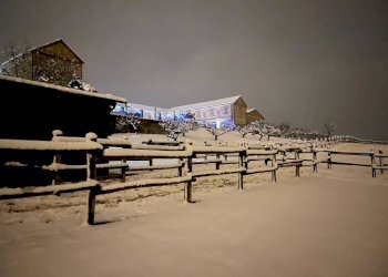 Rustico Montemagno - foto 15