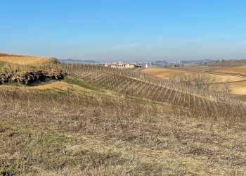 Rustico Montemagno - foto 25