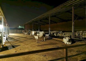 Rustico Montemagno - foto 29