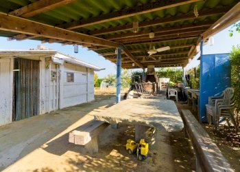 Rustico Via della Colombina, Riva presso Chieri - foto 7
