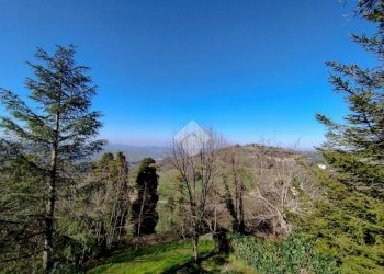 Casa semi indipendente Piazza Castello, Sogliano al Rubicone - foto 4