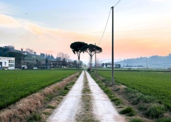 Casa indipendente Via Cesena, Longiano - foto 2