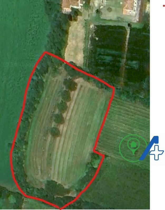 Terreno agricolo Cavriana - foto 1