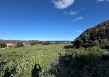 Terreno edificabile Barrabisa, Palau - foto 7