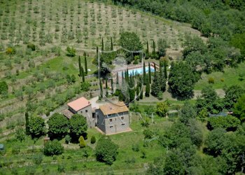 Rustic strada di camurli, Gaiole in Chianti - photo 7