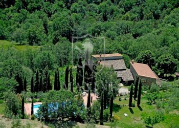 Rustic strada di camurli, Gaiole in Chianti - photo 9