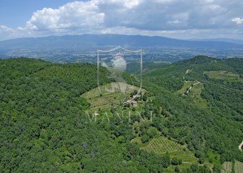 Rustic strada di camurli, Gaiole in Chianti - photo 16