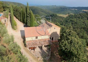 Rustic strada di camurli, Gaiole in Chianti - photo 20