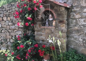 Rustic strada di camurli, Gaiole in Chianti - photo 25