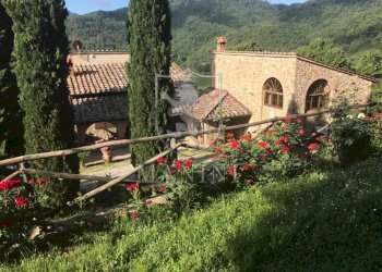 Rustic strada di camurli, Gaiole in Chianti - photo 26