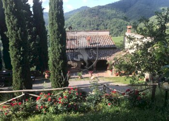 Rustic strada di camurli, Gaiole in Chianti - photo 27