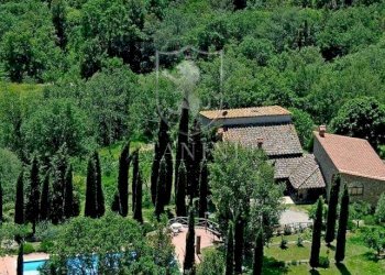 Rustic strada di camurli, Gaiole in Chianti - photo 28