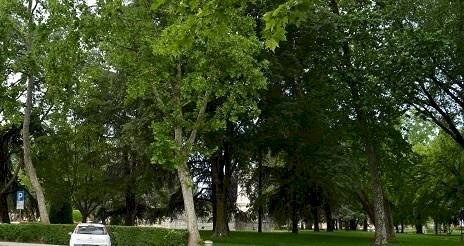 Appartamento Mantova - foto 3