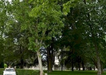 Appartamento Mantova - foto 3