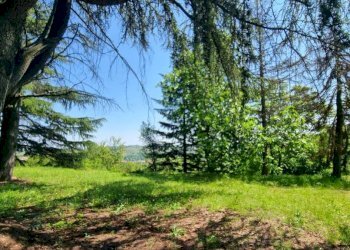 Terreno - Villa via Moncucco, Mombercelli - foto 3