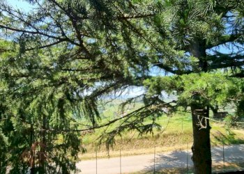 Terreno - Villa via Moncucco, Mombercelli - foto 17