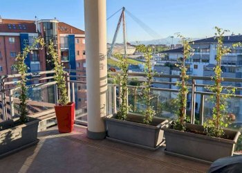 Terrazzo - Attico via Druento, 160/5, Venaria Reale - foto 2