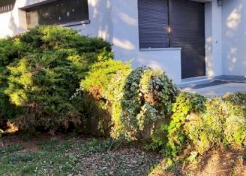 Giardino - Villa via Valeriana, 68, Sondrio - foto 19