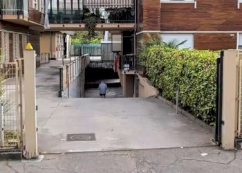 ddbb6be4-2451-4062-b7a8-8c429b5a8237 - Magazzino via Monte Sei Busi, 16/20, Torino - foto 2