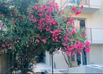 Cortile interno - Four-room apartment via Colla, Celle Ligure - photo 49
