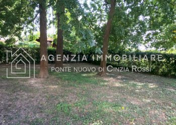 One-room apartment Ravenna (neighborhood San Bartolo) - photo 11