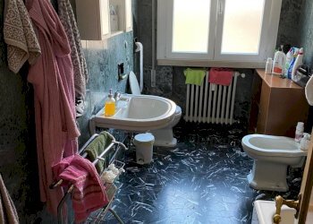 Non-buildable land Ferrara - photo 4