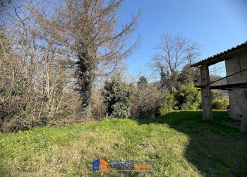 Rustic Calamandrana - photo 2