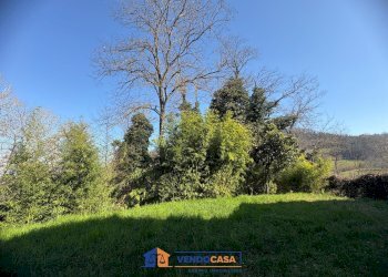 Rustic Calamandrana - photo 8