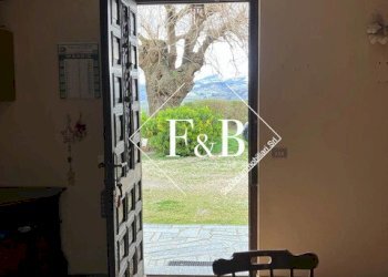 Casa semi indipendente Via Prof. G. Negro, Castino - foto 33