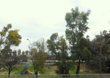 Trilocale Savona (zona Zinola) - foto 15