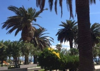 Trilocale Savona (zona Zinola) - foto 23