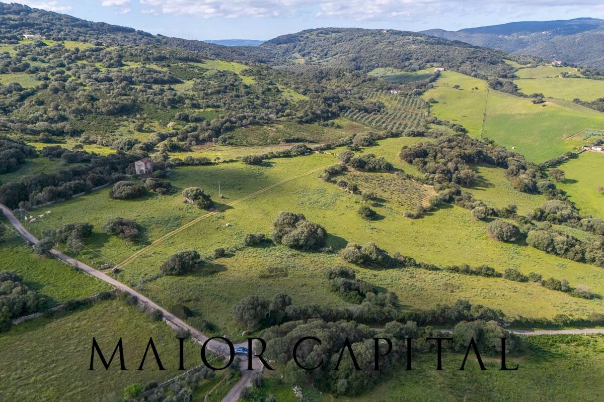 Agricultural land SP 14, Arzachena - photo 3