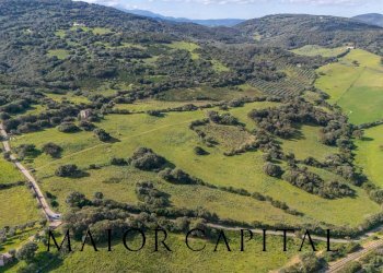 Terreno agricolo SP 14, Arzachena - foto 1